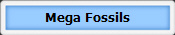 Mega Fossils