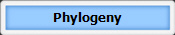 Phylogeny